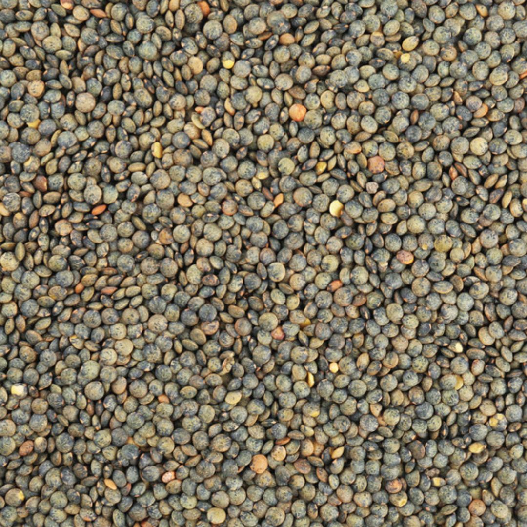 Organic French puy lentils