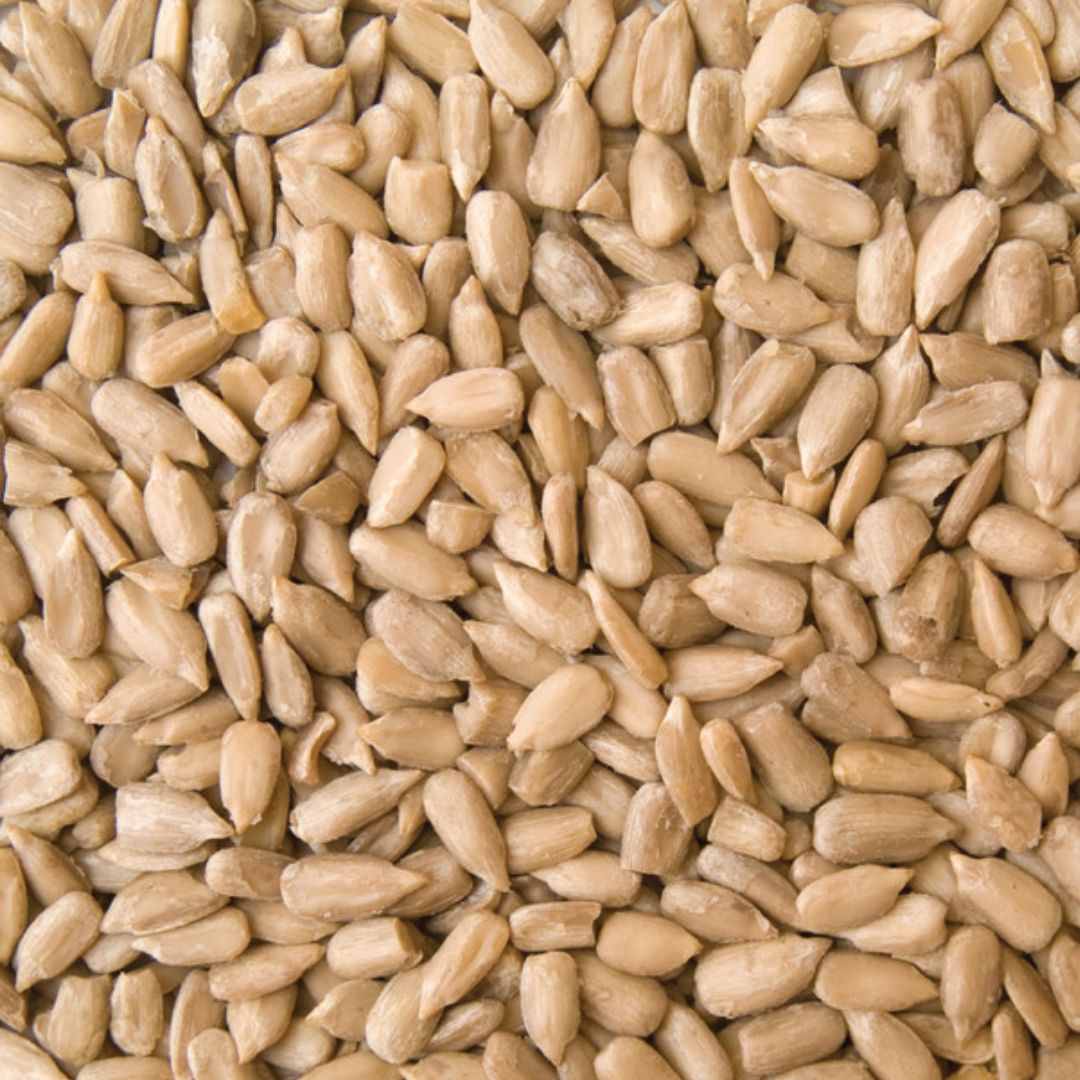 Organic Australian Sunflower seeds