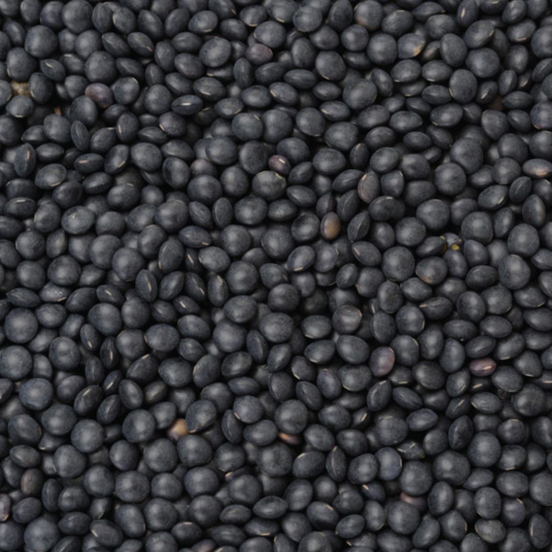 Organic Black Beluga Lentils