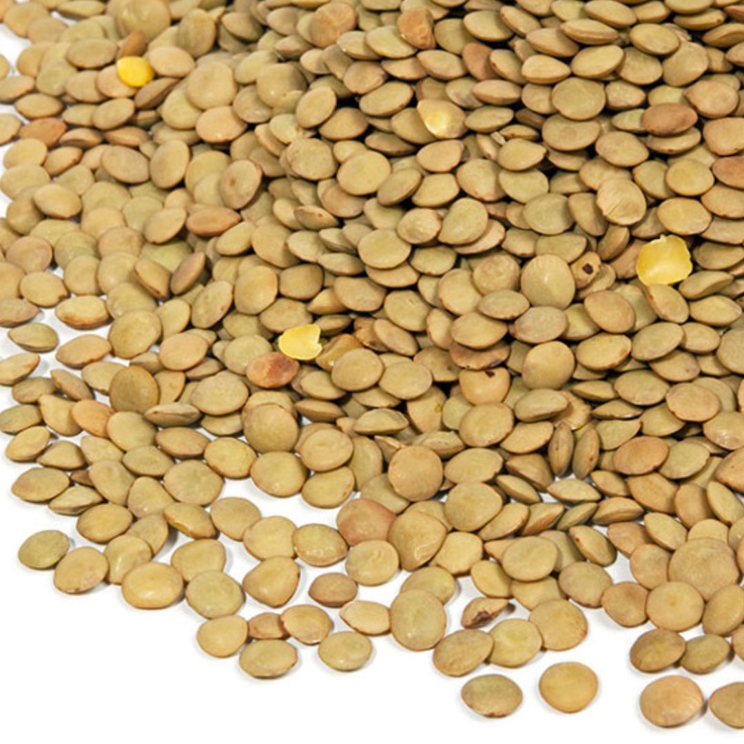 Organic Green Lentils