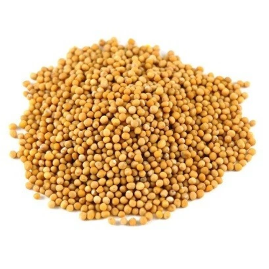 Organic Yellow Mustard Seeds
