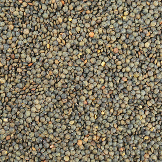 Organic French puy lentils