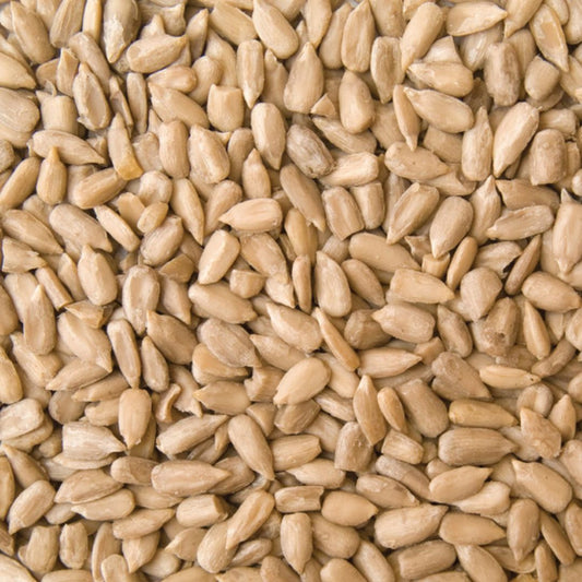 Organic Australian Sunflower seeds