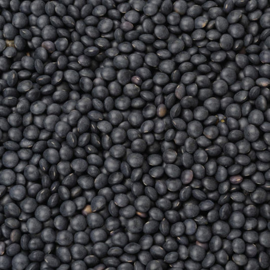 Organic Black Beluga Lentils