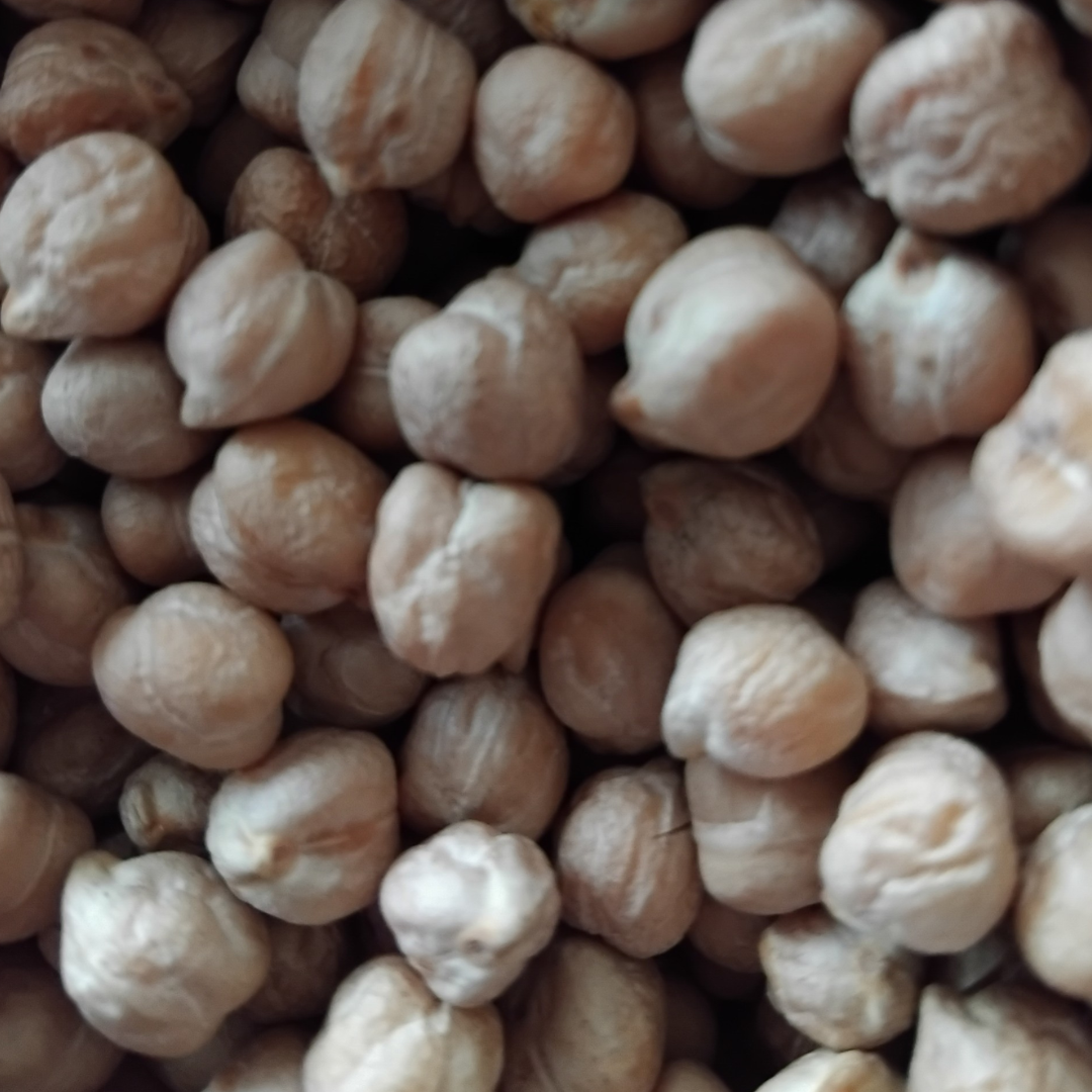 Organic Dried Chickpeas