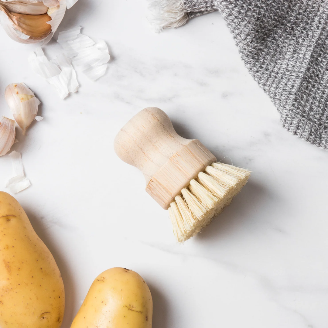 Ever Eco Veggie / Pot Brush